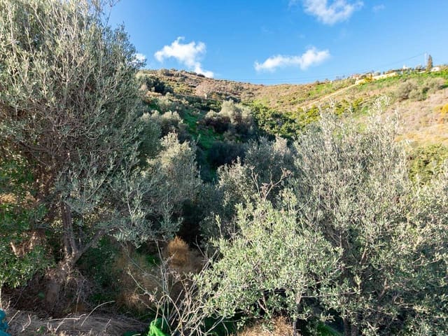 Image No.2-Terre à vendre à Torrox