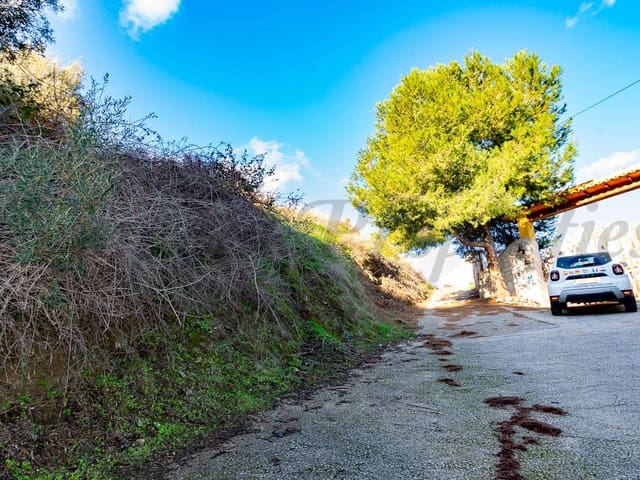 Image No.4-Terre à vendre à Torrox