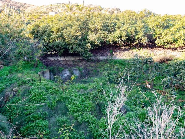 Image No.9-Land for sale