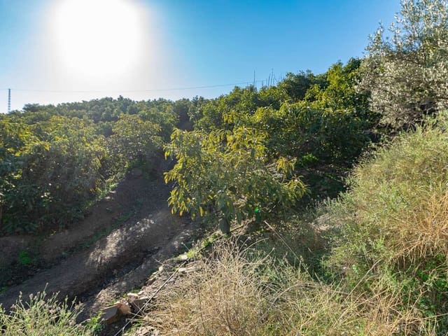 Image No.3-Land for sale