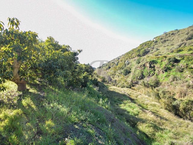 Image No.5-Terre à vendre à Torrox