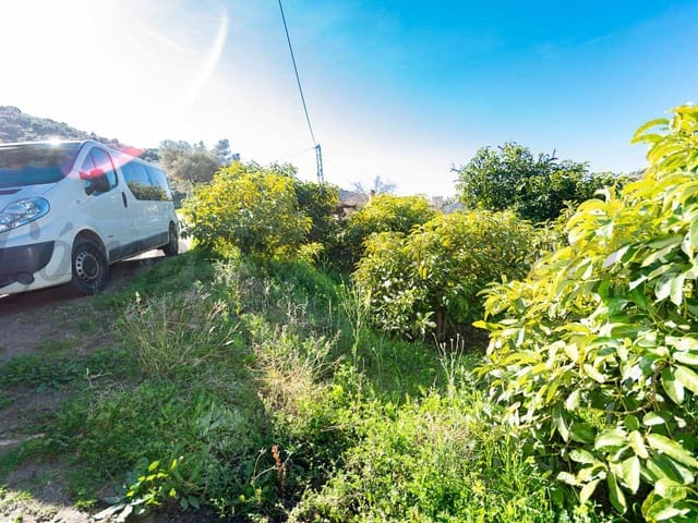 Image No.6-Terre à vendre à Torrox
