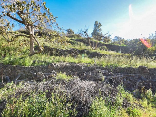 Image No.7-Terre à vendre à Torrox