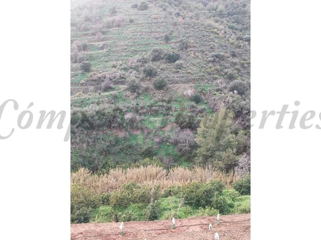 Image No.4-Land for sale