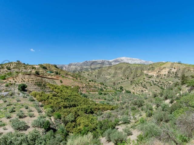 Image No.10-2 Bed Finca for sale