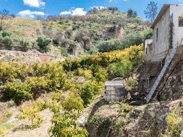 Image No.3-Finca for sale