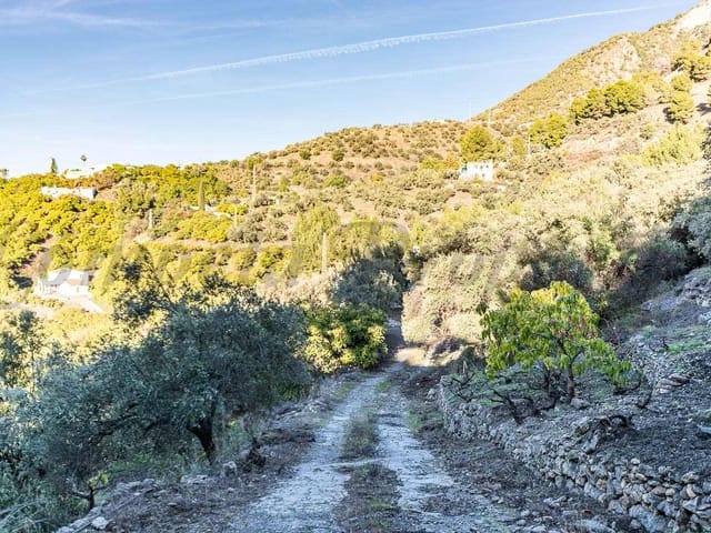 Image No.14-1 Bed Finca for sale