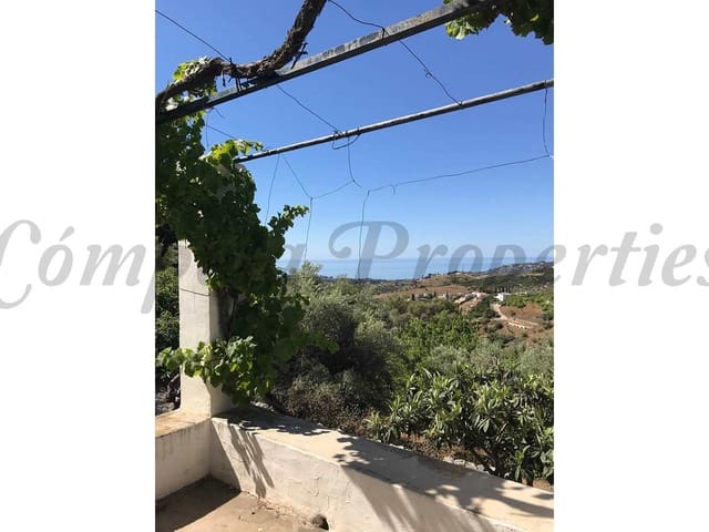 Image No.3-1 Bed Finca for sale