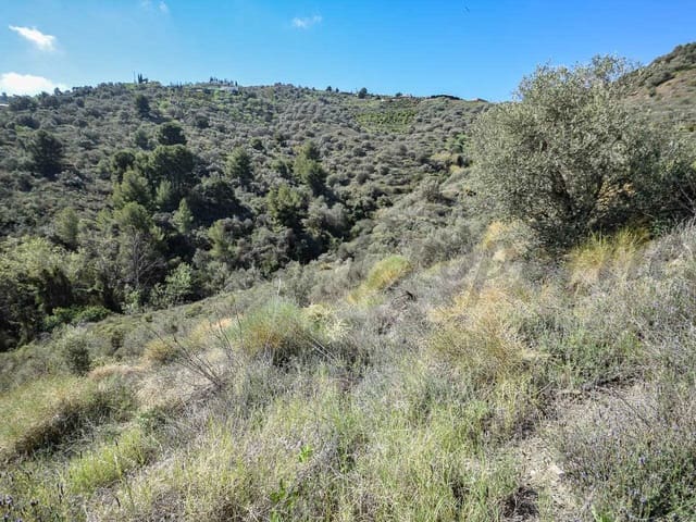 Image No.4-Land for sale