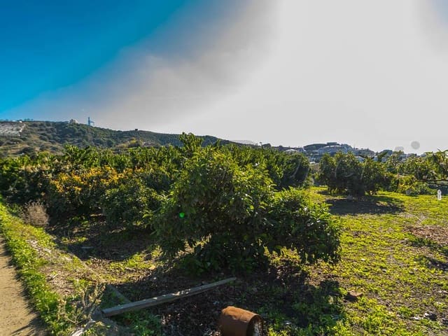 Image No.8-Land for sale