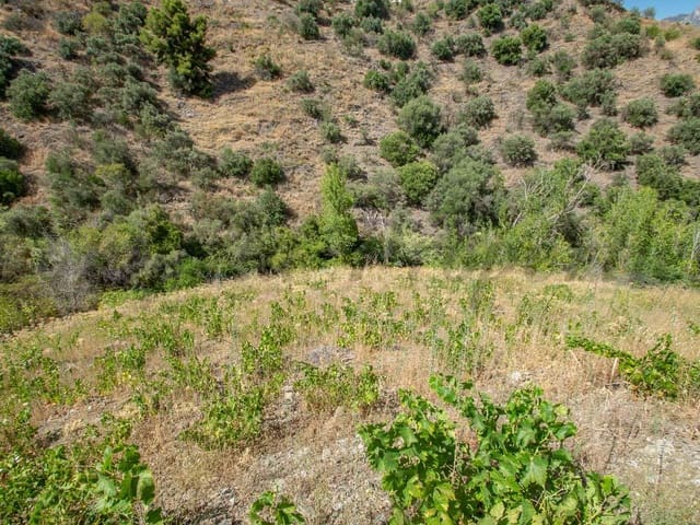 Image No.3-Land for sale