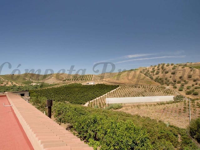 Image No.15-Finca de 3 chambres à vendre à Malaga