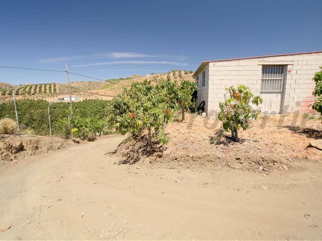 Image No.16-Finca de 3 chambres à vendre à Malaga