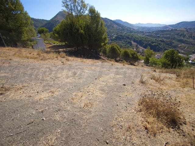 Image No.1-Terre à vendre à Cómpeta