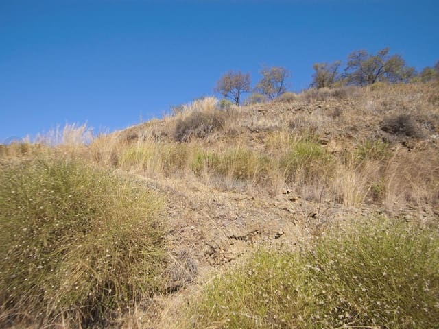 Image No.5-Terre à vendre à Cómpeta