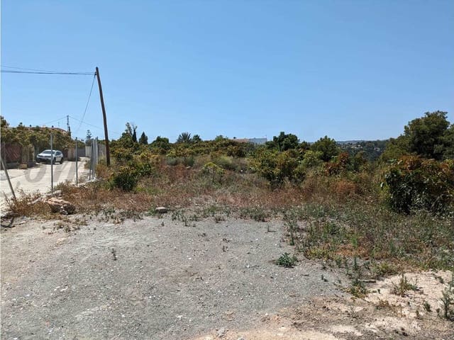 Image No.11-3 Bed Finca for sale