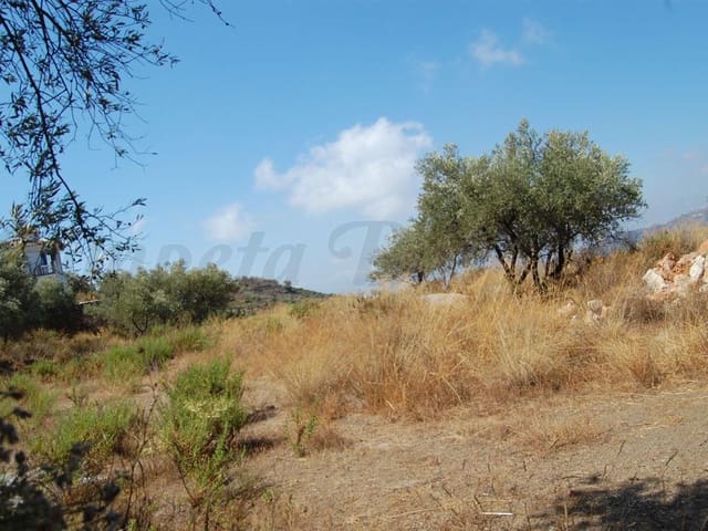 Image No.3-Land for sale