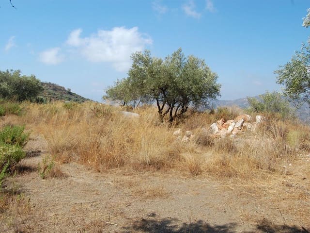 Image No.4-Land for sale