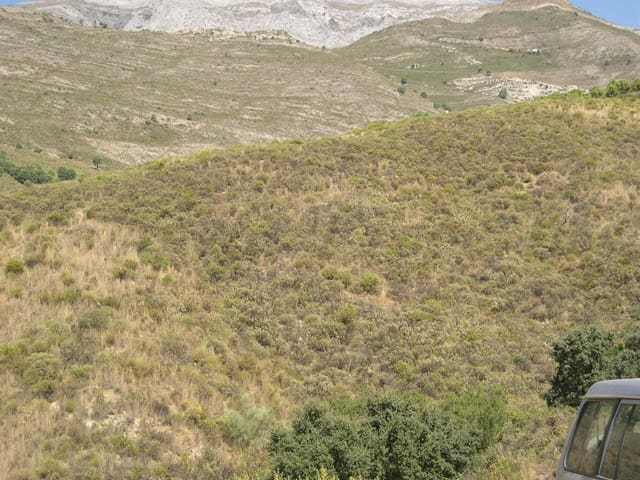 Image No.3-Terre à vendre à Sedella