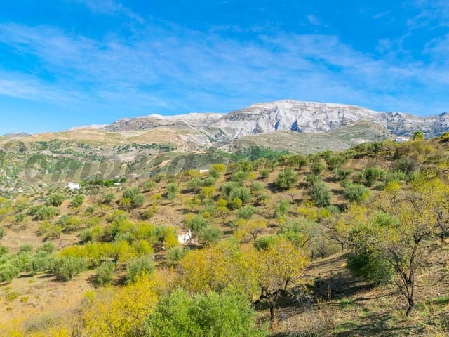 Image No.2-Land for sale