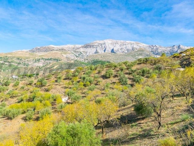 Image No.3-Land for sale