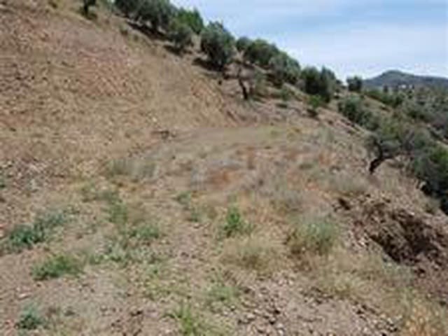 Image No.5-Terre à vendre à Arenas