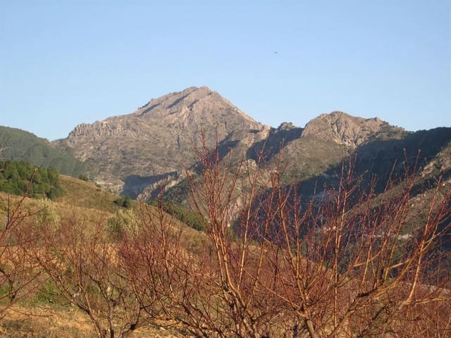 Image No.5-Land for sale