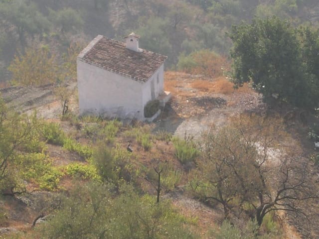 Image No.2-Land for sale