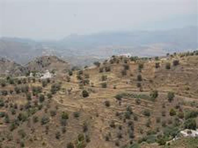 Image No.2-Terre à vendre à Sedella