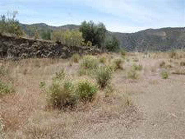 Image No.3-Terre à vendre à Sedella