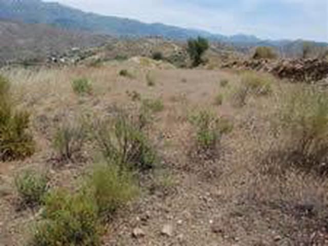 Image No.5-Terre à vendre à Sedella