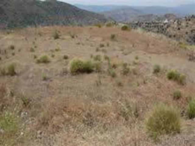 Image No.6-Terre à vendre à Sedella