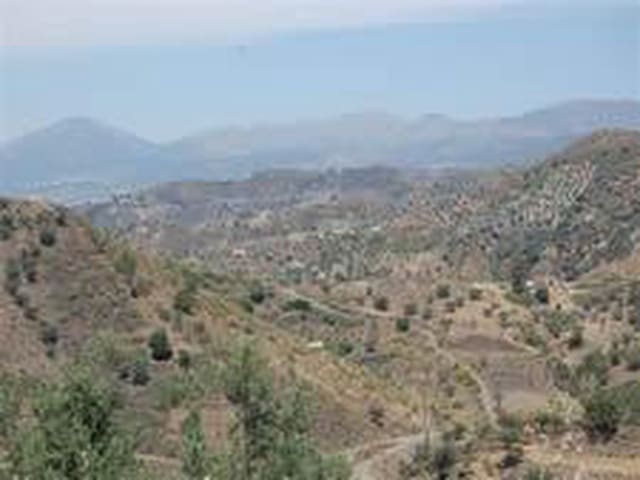 Image No.7-Terre à vendre à Sedella