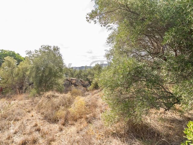 Image No.6-Land for sale