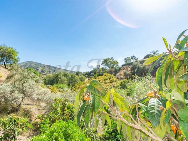 Image No.18-3 Bed Finca for sale