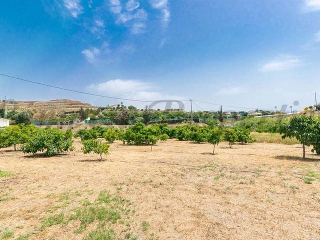 Image No.2-Finca de 3 chambres à vendre à Malaga