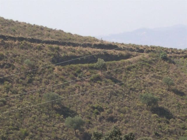 Image No.3-Land for sale