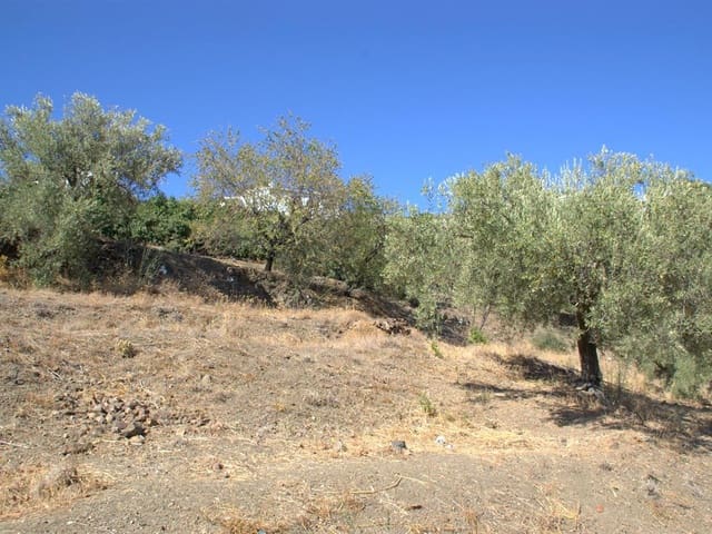 Image No.1-Land for sale