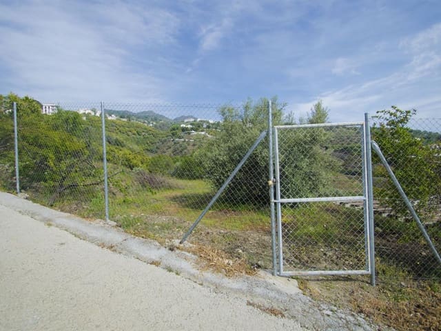 Image No.4-Finca for sale