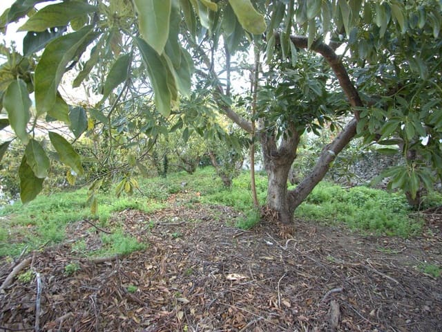 Image No.1-Land for sale
