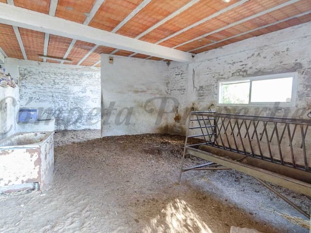 Image No.18-Villa de 3 chambres à vendre à Sedella