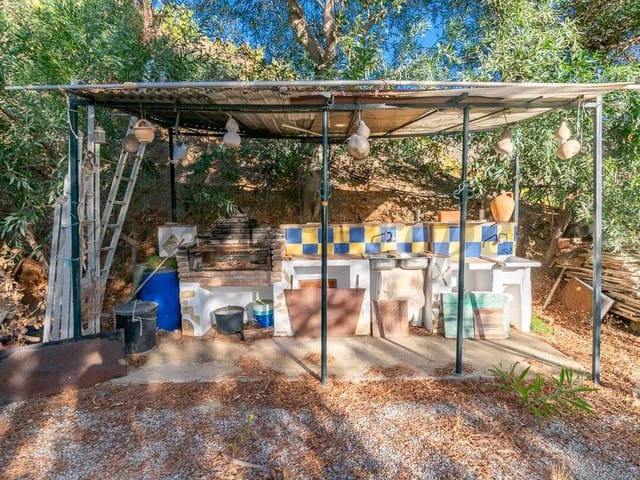 Image No.4-Finca de 2 chambres à vendre à Cómpeta