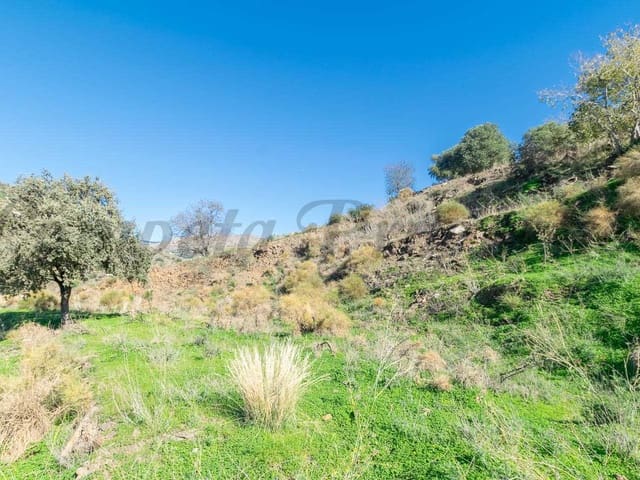 Image No.6-Land for sale