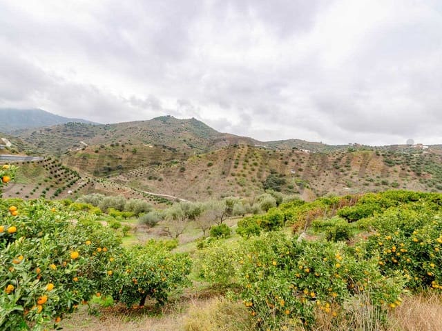 Image No.11-Terre à vendre à Sayalonga