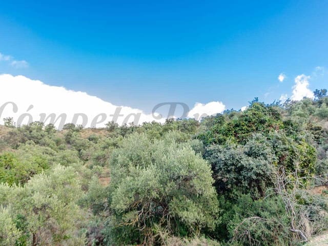 Image No.4-Land for sale