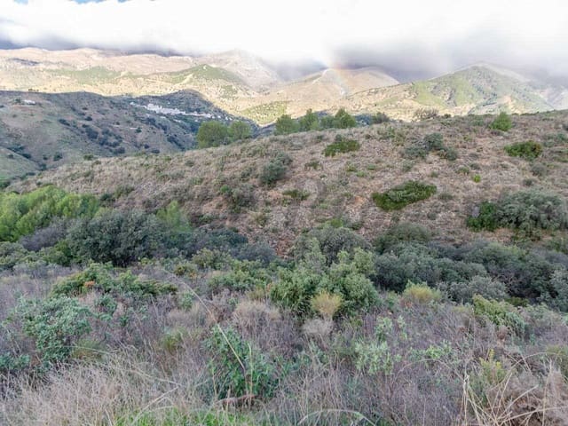 Image No.5-Land for sale