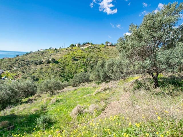 Image No.11-Terre à vendre à Sayalonga