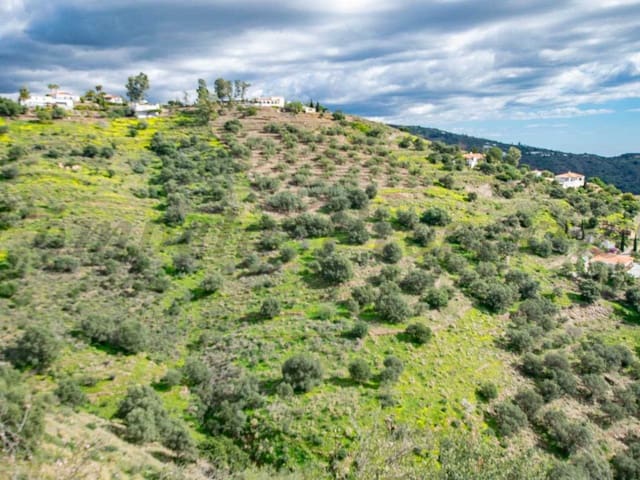 Image No.14-Terre à vendre à Sayalonga