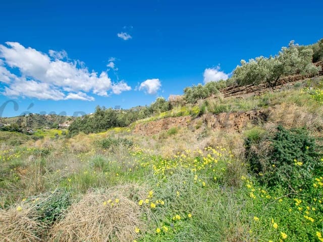 Image No.3-Terre à vendre à Sayalonga
