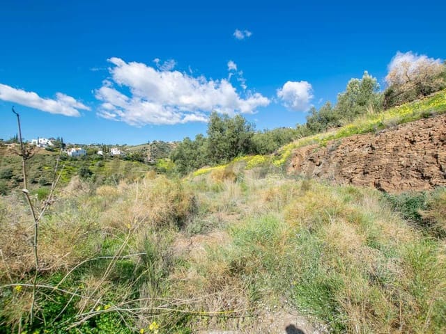 Image No.4-Terre à vendre à Sayalonga